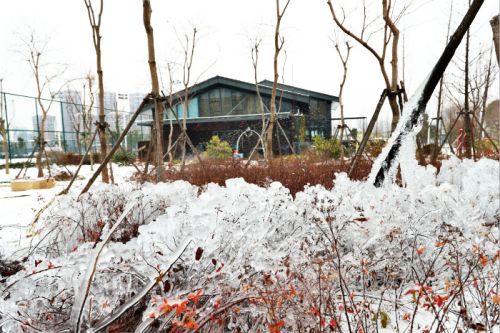 一場雪，體育中心美得不要不要的</br>但最美的風(fēng)景還是他們(圖2)